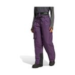 Adidas W Terrex Xpl 2l Ins P Kadın Outdoor Pantolonu JM3035 Mor