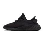 Adidas Yeezy Boost 350 V2 Onyx