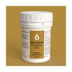 Adler Schüssler No.6 - D6 Biotin Tablet