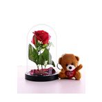 Adm Store Sevgiliye Eşe Sürpriz Hediye Fanusta Kırmızı Gül Ve Mini Ayıcık Set Sevgiliye Hediye