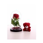 Adm Store Sevgiliye Eşe Sürpriz Hediye Fanusta Led Işıklı Kırmızı Gül Ve Kırmızı Mini Ayıcık Set Sevgiliye