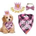 ADOGGYGO Köpek Doğum Günü Partisi Malzemeleri, Çok Beden Sunulur, Doğum Günü Kız Köpek Bandana, Küçük Köpekler Evcil Hayvanlar için Numaralı Köpek Doğum Günü Şapkası Taç (Small, Pembe)