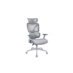 Adore Mobilya Unique-SX Yönetici ve Çalışma Koltuğu - Gri 74x119.5-129x65.5 cm
