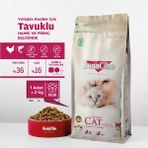 Adult Cat Tavuklu Yetişkin Kedi Maması 2 Kg, Tüm Irklar Için, Doğal, Şeker Içermez