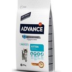 Advance 1,5 kg Cat Kitten Tavuklu ve Pirinçli Yavru Kedi Maması