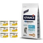 Advance Kitten 1.5 kg Tavuklu Yavru Kedi Maması + Gourmet 85 gr Karışık Konserve