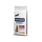 Advance Medium Orta Irk Yaşlı 12 Kg Köpek Maması