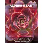 Aeonium Plant 2025: Enjoy 18 Months Featuring Lush Aeonium Plants, Perfect for Keeping Track of Your Schedule