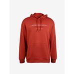 Aeropostale A3WM-SWT8 Kapüşon Yaka Baskılı Kiremit Erkek Sweatshirt