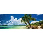 Aesco 2000 Parça Panorama Puzzle, Paradise Palm Temalı Eğlenceli Aktivite