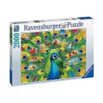 Aesco 2000 Parça Tavus Kuşu Puzzle - 01-Mavi