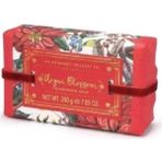 Aesco Aromas Artesanales De Antigua Sabun Christmas Argan Blossom 200 gr - Option-1