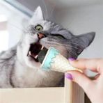 Aesco Enerji Sınıfı A Dondurma Şeklinde Kedi Nanesi