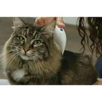 Aesco Flea Doctor Pet Hayvanlar Için Haşere Öldürücü Pilli Pire Tarağı ( Lisinya )