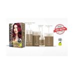 Aesco Haır Color (Keratin)'li 1 Kutu (2 x 50 Ml) (Şarap Kızılı 4.65) - Option-1