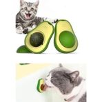 Aesco Kedi Nanesi ile Dolu Avokado Yalama Topu