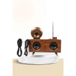 Aesco Nostaljik Radyo Bluetooth Bağlantılı Şarjlı Yüksek Ses Kaliteli