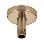 Aesco U4996-CZ Duş Kolu ve Flanşı, Şampanya Bronz - 1 lt