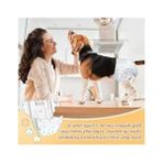 Aesco X-Large Köpek ve Kedi Tuvalet Bezi - 12 Adet