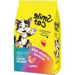 Aesco Yetişkin Kediler Için Besleyici ve Dengeli Kuru Mama 1 kg