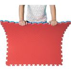 Affectione . A Kalite 26Mm 100X100 Mavi Kırmızı Tatami Zemin Minderi