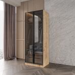 Afilli Altay 2 Çekmeceli Giyinme Dolabı LED Askılıklı Tamamı Mdf Füme Camlı - Safir Meşe