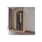 Afilli Altay 2 Çekmeceli Giyinme Dolabı Led Askılıklı Tamamı Mdf Füme Camlı