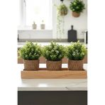 afralya home Ev Dekorasyon 3lü Organizer Çiçeklik Saksılık Düzenleyici Sepet(10x10cm)