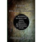 After God's Heart: The Story of David (Grace Into Grit, Band 2)