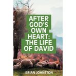 After God's Own Heart - The Life of David
