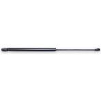 After Vw Golf 4 1998-2004 Motor Kaput Amortisörü Pistonu 1J0823359C