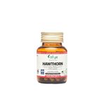 Afye Hawthorn 600 mg 60 Kapsül