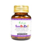 Afye Sambezinc Kara Mürver Beta Glukan Çinko Vitamin C 60 Kapsül