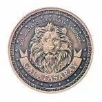 Agakulche Galatasaray 24. Şampiyonluk Kutulu Bronz Sikke Coin