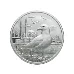 Agakulche İstanbul Martısı Gümüş Sikke Coin