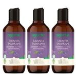 Agarta 3x400 ml Lavanta Doğal Şampuan