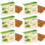 Agarta 6x150 gr Doğal Çay Ağacı Sabunu