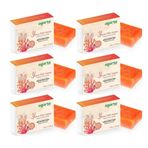 Agarta 6x150 gr Yosun Özlü Sabun