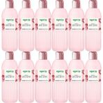 Agarta Doğal 12x400 ml Gül Suyu