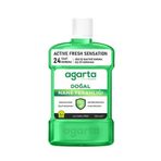 Agarta Doğal Naneli Ağız Bakım Suyu 250 ML