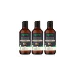 Agarta Doğal Siyah Sarımsak Özlü 3x400 ml Keratin Şampuanı