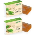 Agarta El Yapımı Doğal Sabun 150 gr Çay Ağacı Kokusuyla Yağlı Ciltler İçin Dengeleyici Etki (2'li Set)