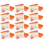 Agarta Yosun Özlü 12x150 gr El Yapımı Doğal Sabun
