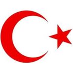 Agdeniz Ay Yıldız Sticker Kırmızı 20 cm - Standart - Siyah