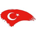 Agdeniz Türk Bayrağı Oto Kapı Cam Kaput Sticker Kırmızı 20 cm - Standart - Beyaz
