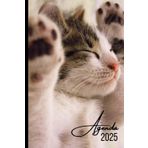 Agenda 2025 Chat: Chaton Semainier de Poche A6 Petit Format 10x15 Mini Hebdomadaire Horaires Original en Français Pratique pour Sac à Main Quotidien Femme Homme avec Heures