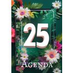 Agenda 2025 Completa: Planificador Mensual, Semanal y de Gastos | Organización Total del Año