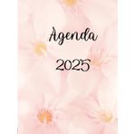 Agenda 2025: Incluye secciones para planificación semanal, mensual y diaria por horas, presupuesto anual y mensual, tamaño 8.25x11 pulgadas, tapa blanda.
