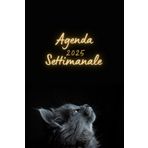 Agenda Settimanale 2025: da Gennaio 2025 a Dicembre 2025, 12 mesi, La settimana su una doppia pagina, Formato A5, Nero, gatto, 126 pagine.
