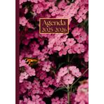 Agenda settimanale con orario: Fiori rosa | 12 mesi, Settimana su doppia pagina, Intervalli di 1 ora, Da Agosto a Luglio, Formato A5 | Calendario ... Personale, l'ufficio Aziendale e il Diario